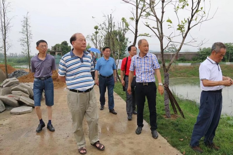 老科协领导调研凯瑞示范园