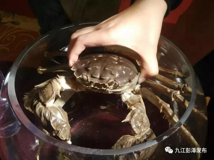 微信图片_20171113100918